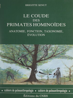 cover image of Le coude des primates hominoïdes